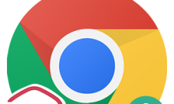 Плагин Госуслуги для Google Chrome