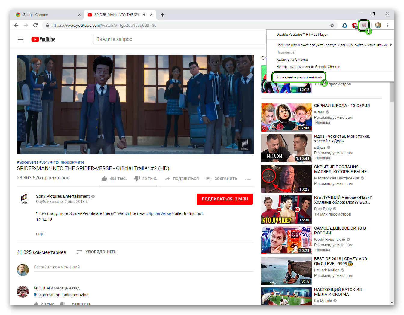 Управление расширением Disable YouTube HTML5 Player для браузера Google Chrome
