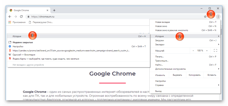 Как отключить сохранение истории в google chrome