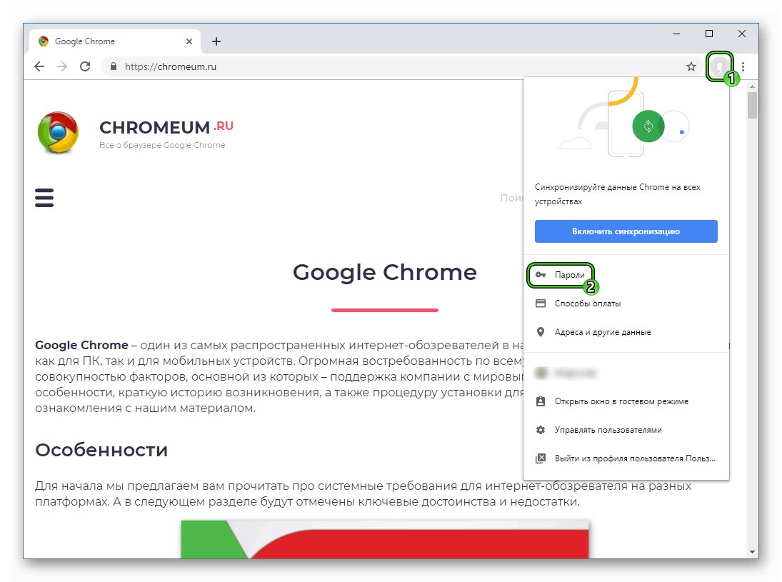 Пункт Пароли в меню профиля в Google Chrome