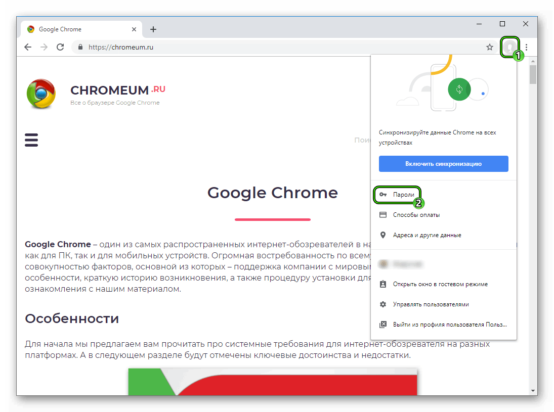 Меню google chrome. Google Chrome войти. Пароли в гугл хром. Пароль на браузер гугл хром. Способы оплаты в Google Chrome.